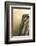 Victoria Falls, Zimbabwe/Zambia-Paul Joynson Hicks-Framed Photographic Print