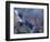 Victoria Falls, Zimbabwe-William Sutton-Framed Photographic Print