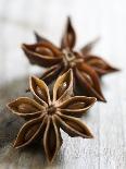 Two Star Anise-Victoria Firmston-Laminated Photographic Print