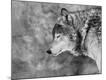 Photographic Print