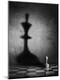 Photographic Print