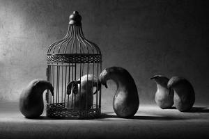 The Political Prisoner by Victoria Ivanova