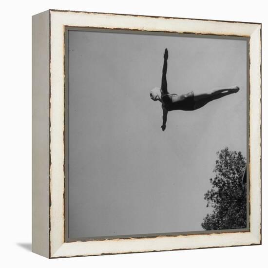 Victoria Manalo Draves Diving Like a Swan-John Florea-Framed Premier Image Canvas