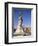 Victoria Memorial Outside Buckingham Palace, London, England, United Kingdom-Adam Woolfitt-Framed Photographic Print