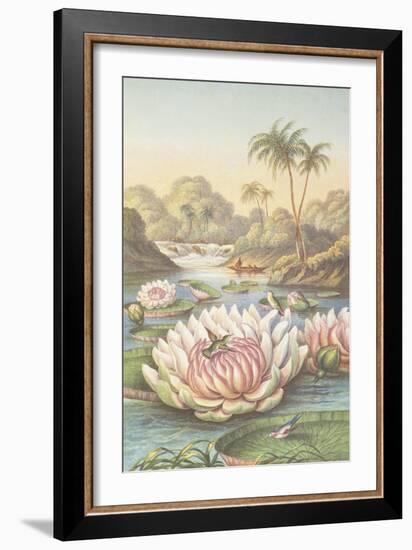 Victoria Regia, c.1874-null-Framed Giclee Print