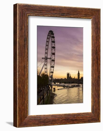 Victoria Tower, Big Ben, Houses of Parliament and London Eye Overshadow the River Thames at Dusk-Charles Bowman-Framed Photographic Print