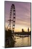 Victoria Tower, Big Ben, Houses of Parliament and London Eye Overshadow the River Thames at Dusk-Charles Bowman-Mounted Photographic Print