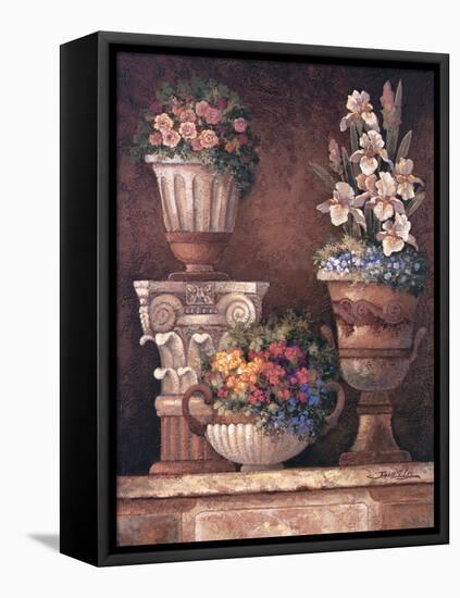 Victorian Blossoms II-James Lee-Framed Stretched Canvas