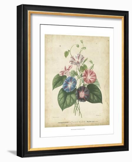 Victorian Bouquet I-Maubert-Framed Art Print