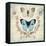 Victorian Butterflies-Christopher James-Framed Stretched Canvas