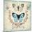 Victorian Butterflies-Christopher James-Mounted Art Print