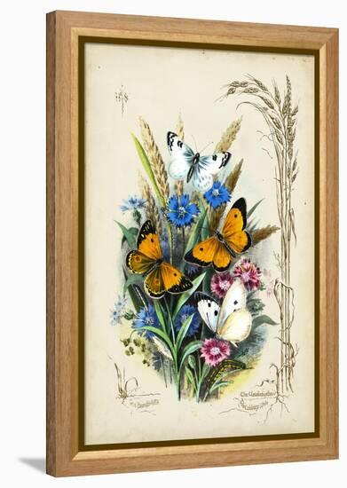 Victorian Butterfly Garden I-Vision Studio-Framed Stretched Canvas