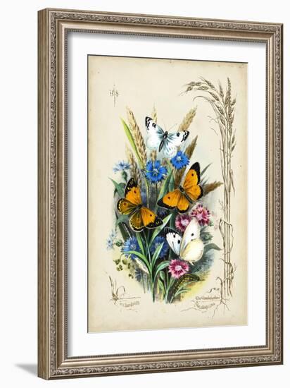 Victorian Butterfly Garden I-Vision Studio-Framed Art Print