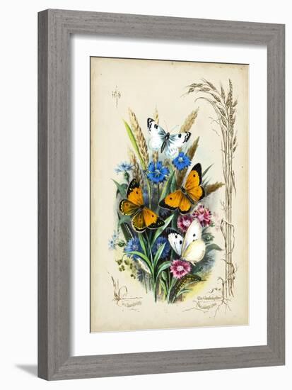 Victorian Butterfly Garden I-Vision Studio-Framed Art Print