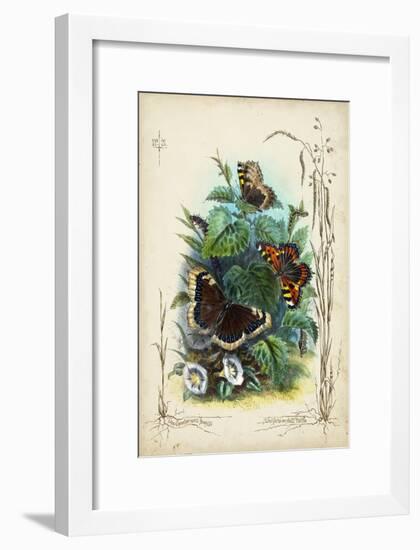 Victorian Butterfly Garden IV-Vision Studio-Framed Art Print