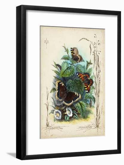 Victorian Butterfly Garden IV-Vision Studio-Framed Art Print