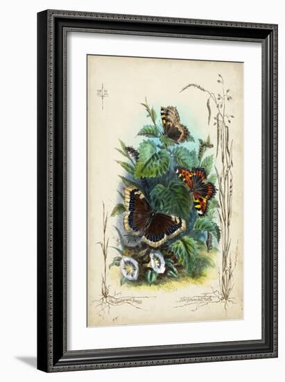 Victorian Butterfly Garden IV-Vision Studio-Framed Art Print