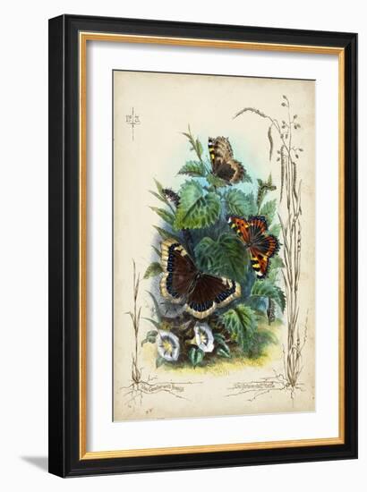 Victorian Butterfly Garden IV-Vision Studio-Framed Art Print