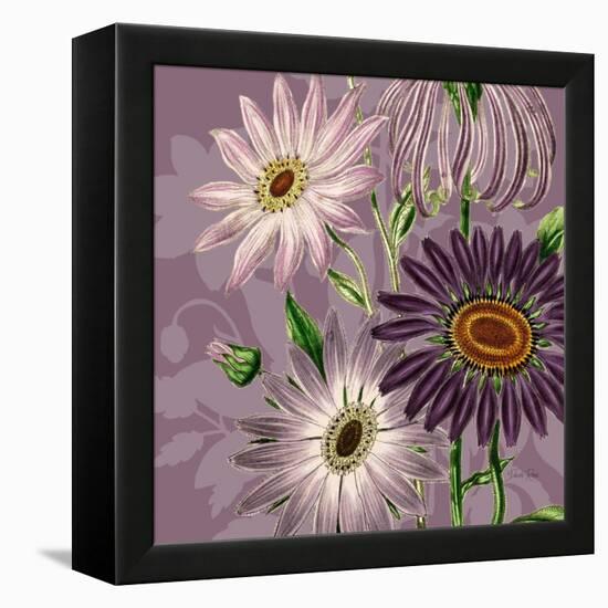 Victorian Garden 2-Devon Ross-Framed Stretched Canvas