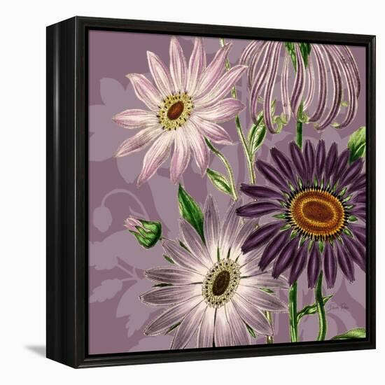 Victorian Garden 2-Devon Ross-Framed Stretched Canvas