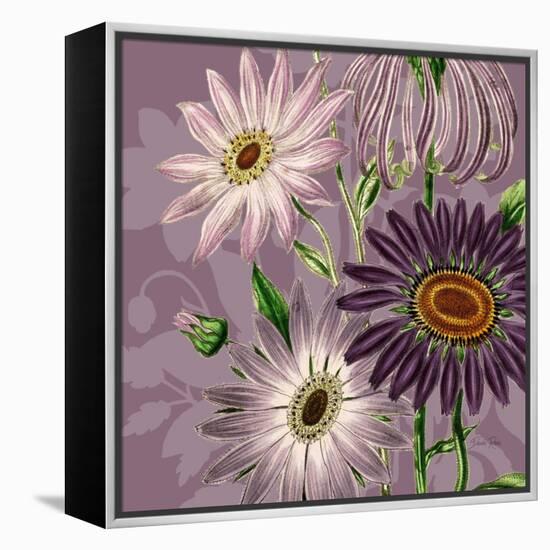 Victorian Garden 2-Devon Ross-Framed Stretched Canvas