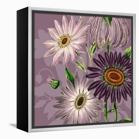 Victorian Garden 2-Devon Ross-Framed Stretched Canvas