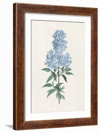 Victorian Garden Flowers III Blue-Wild Apple Portfolio-Framed Art Print