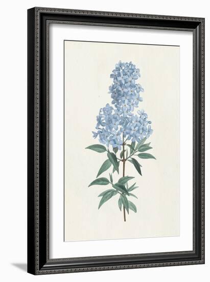 Victorian Garden Flowers III Blue-Wild Apple Portfolio-Framed Art Print