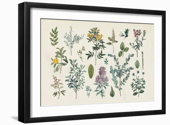 Victorian Garden IV-Wild Apple Portfolio-Framed Art Print