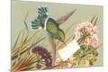 Premium Giclee Print
