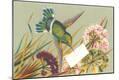 Premium Giclee Print