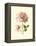 Victorian Rose I-R^ Guillot-Framed Stretched Canvas