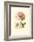 Victorian Rose I-R^ Guillot-Framed Premium Giclee Print