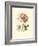 Victorian Rose I-R^ Guillot-Framed Premium Giclee Print