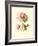 Victorian Rose I-R^ Guillot-Framed Premium Giclee Print