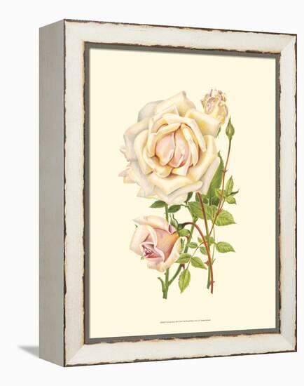 Victorian Rose III-P^ Seguin-Bertault-Framed Stretched Canvas