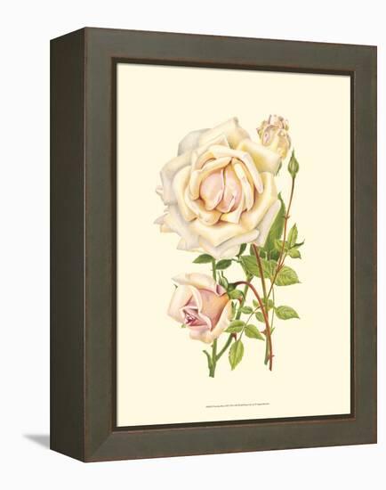 Victorian Rose III-P^ Seguin-Bertault-Framed Stretched Canvas