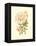 Victorian Rose III-P^ Seguin-Bertault-Framed Stretched Canvas