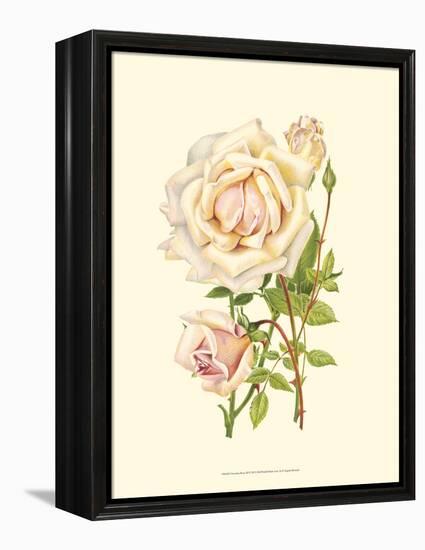 Victorian Rose III-P^ Seguin-Bertault-Framed Stretched Canvas