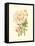 Victorian Rose III-P^ Seguin-Bertault-Framed Stretched Canvas