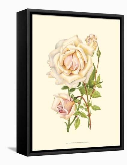 Victorian Rose III-P^ Seguin-Bertault-Framed Stretched Canvas