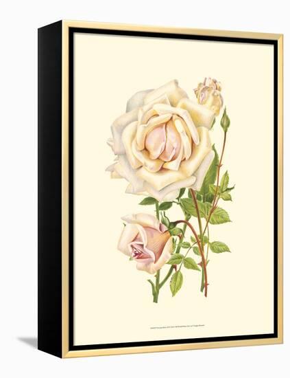 Victorian Rose III-P^ Seguin-Bertault-Framed Stretched Canvas