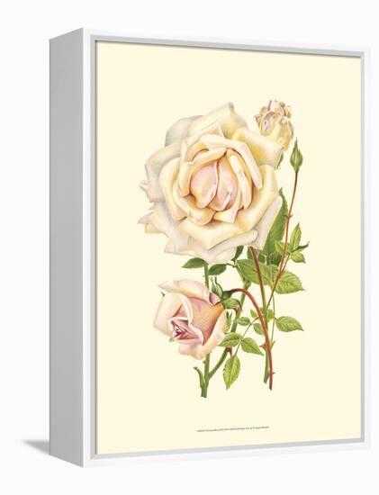 Victorian Rose III-P^ Seguin-Bertault-Framed Stretched Canvas