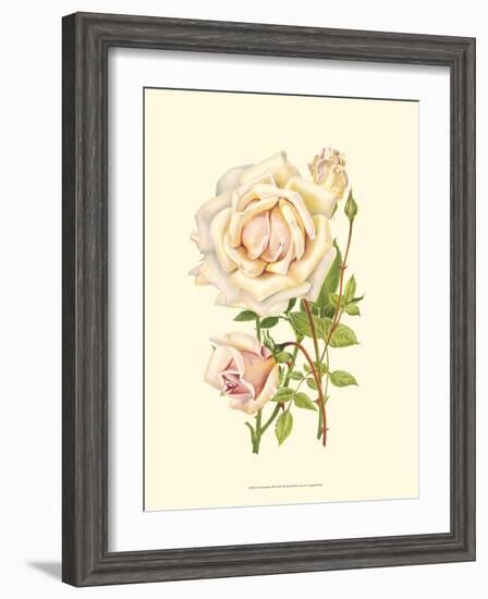 Victorian Rose III-P^ Seguin-Bertault-Framed Art Print