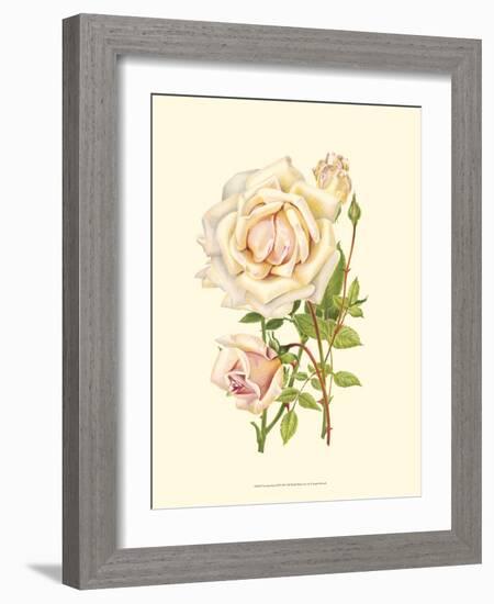 Victorian Rose III-P^ Seguin-Bertault-Framed Art Print