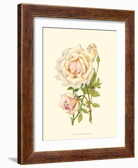 Victorian Rose III-P^ Seguin-Bertault-Framed Art Print