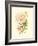 Victorian Rose III-P^ Seguin-Bertault-Framed Art Print