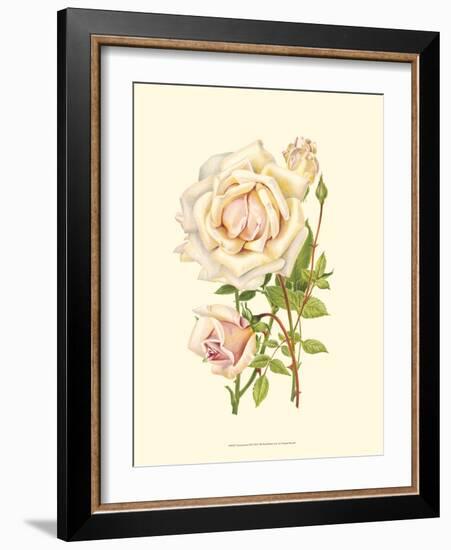 Victorian Rose III-P^ Seguin-Bertault-Framed Art Print