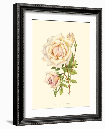 Victorian Rose III-P^ Seguin-Bertault-Framed Art Print