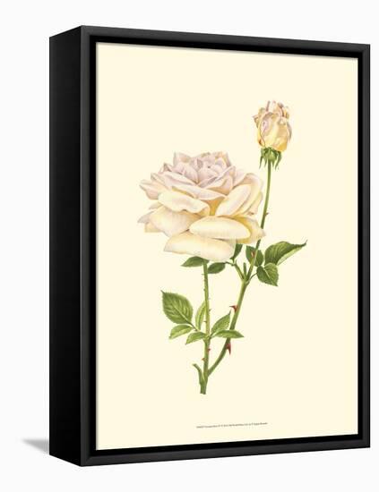 Victorian Rose IV-P^ Seguin-Bertault-Framed Stretched Canvas